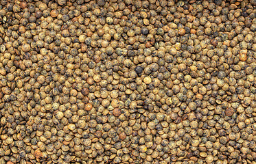 Blank macro photography of raw green lentil, legume, groat; health; vegetarian; natural; carbohydrates; closeup