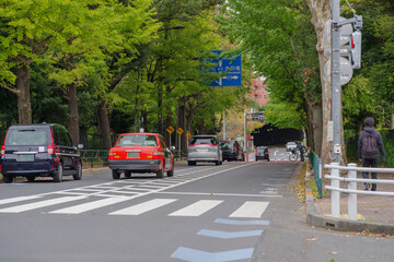 東京港区南青山2丁目の緑あふれる道路