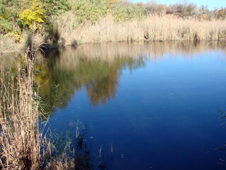Top view of a water mirror of a steppe pond surrounded by dry sedge on a clear sunny day.