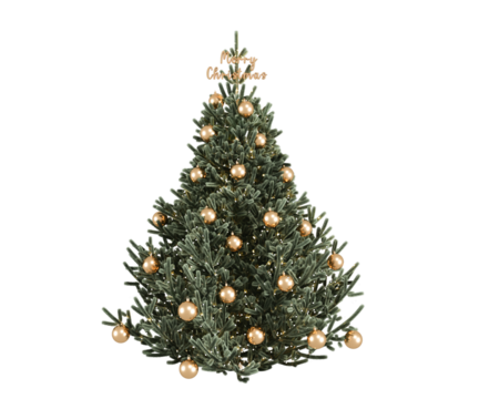 Christmas tree isolated on white