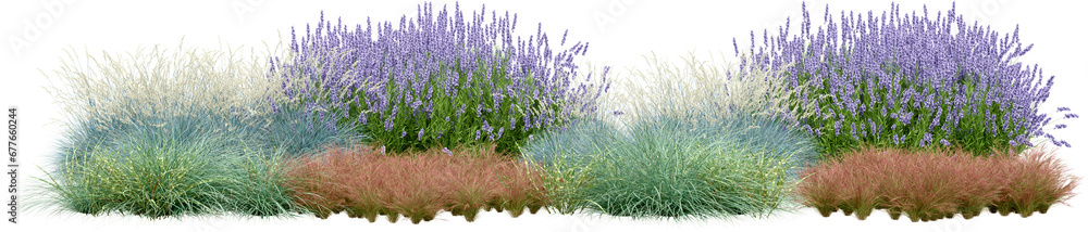 Poster realistic small garden. 3d rendering of isolated objects.