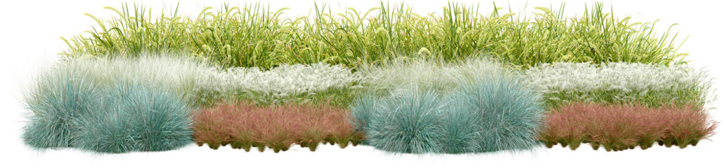 Realistic small garden. 3d rendering of isolated objects. © MIRROR IMAGE STUDIO