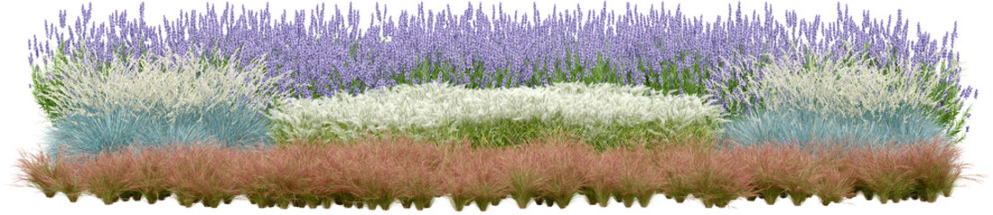 Realistic small garden. 3d rendering of isolated objects.