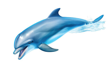 Solo Playful Dolphin On Isolated Background