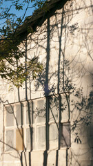 Sombras de &aacute;rboles en pared de bloque de hormig&oacute;n