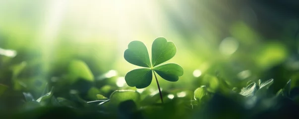 Foto op Aluminium good luck clover leaf nature background © krissikunterbunt