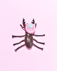 A bug with wool knitted hat, creative nature inspired layout against pastel pink background.