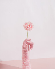 Lace glove holding a flower, creative retro glamour floral composition, pastel pink background. 