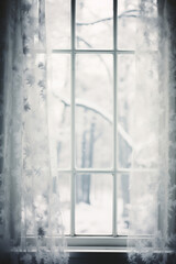 Window with frosted glass and snowflakes in winter forest.