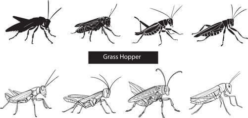 Grasshopper silhouettes set Insect silhouettes on white background - obrazy, fototapety, plakaty