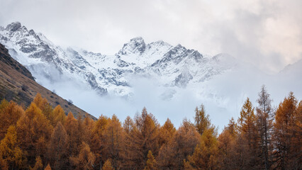 Navette, Valgaudemar