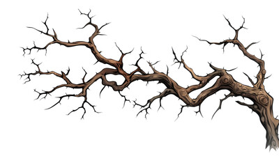 tree branches isolated on transparent background