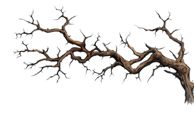 tree branches isolated on transparent background