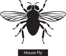 House fly silhouettes