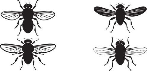Set of house fly silhouettes on white background, insect, house fly