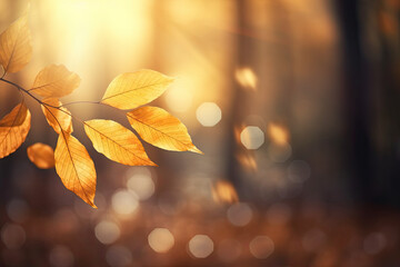 autumn leaves on the tree, close up, autumn background 