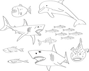 A group of hand-drawn fish and marine mammals, black and white, real and fictional - 677672678