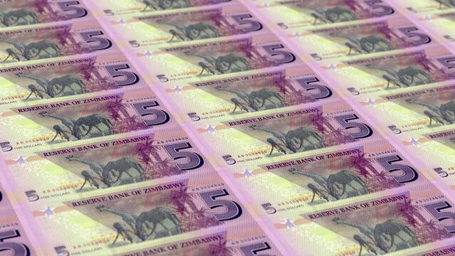 Zimbabwe Zimbabwean Dollar 5 Banknotes Money Printing House, Printing Five Zimbabwean Dollar, Printing Press Machine Print out Zimbabwean, Being printed by currency press machine 5