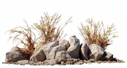desert scene cutout, dry plants with rock, isolated on white background, Generative AI - obrazy, fototapety, plakaty