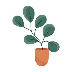 Potted Plant