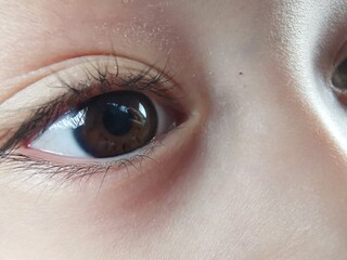 Closeup of Asian brown eye