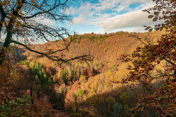 autumn in the mountains in Germany