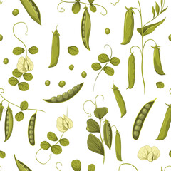 Green peas, soybean plants, seamless pattern vector color illustrations