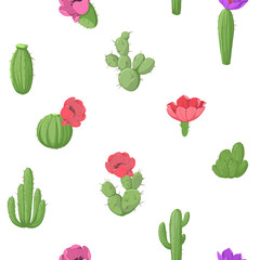 Cactus with flowers, seamless pattert. vector color illustrations