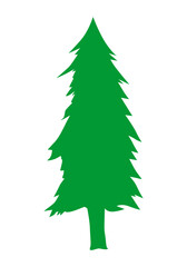 christmas tree isolated on white