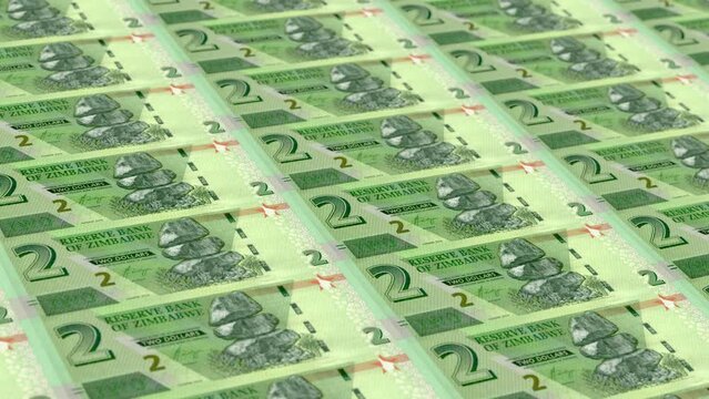 Zimbabwe Zimbabwean Dollar 2 Banknotes Money Printing House, Printing Two Zimbabwean Dollar, Printing Press Machine Print out Zimbabwean, Being printed by currency press machine 2