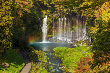 秋の富士宮市白糸の滝にかかる虹