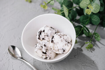Homemade ice cream with chocolate crumb
