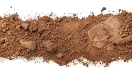 Poster soil isolated on transparent background cutout © Papugrat