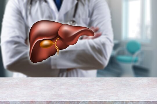 Doctor with the organ of human Liver model, AI generated image