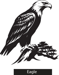 eagle on a white background