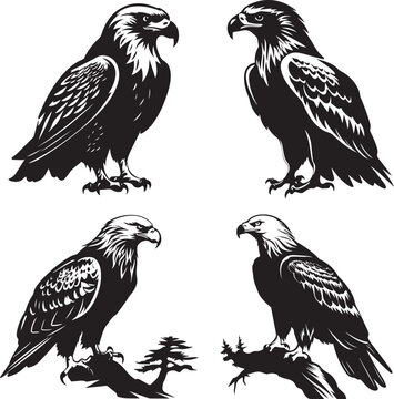 set of eagle silhouettes, eagle silhouettes 