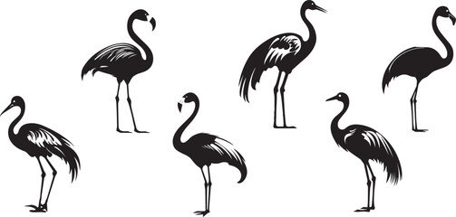 Fototapeta premium Set Vector collections black flamingo birds silhouette animal icon illustration