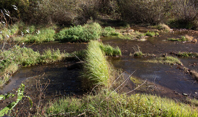 Beautiful panorama of the river with green grass near the lake. Sunny day in october.