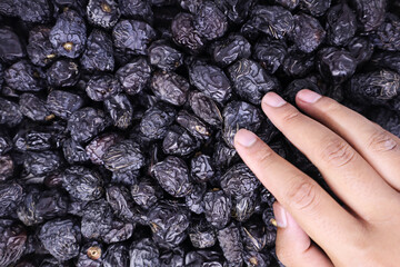 Close-up view of a man's hand touching a bunch of delicious Ajwa dates against the pile of Ajwa dates in the background. Healthy Arabic food concept.
