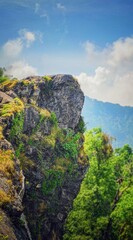  landscape featuring a rocky mountain cliff with trees. The mountain is surrounded by  clouds in the sky