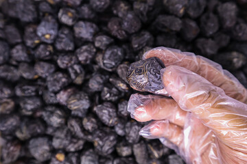Close-up view of a man's hand using plastic food gloves holding one large delicious Ajwa date to keep food hygienic against the pile of blurred Ajwa dates background. Healthy arabic food concept.
