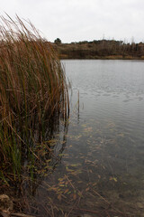 View of lake in the cloudy autumn day. Natural landscape.