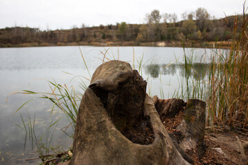 tree stump on the lake side. Panorama of the autumn day in nature.