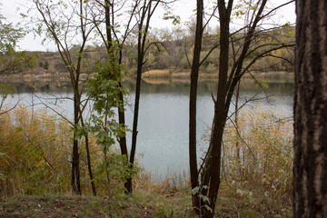 Yellow and green leaves on the trees around the lake. Autumn time in nature. Cristal clean...