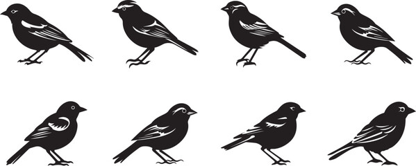Bird Vector