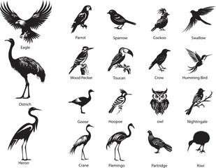 Wildlife. Bird silhouettes set. Vector illustration with names isolated on white background