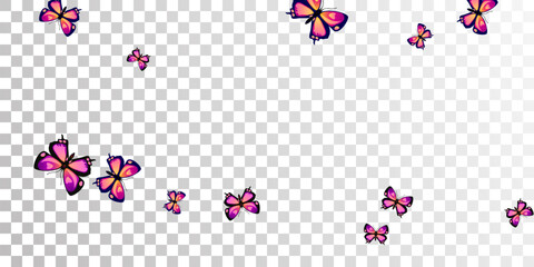 Tropical purple butterflies isolated vector wallpaper. Summer beautiful insects. Detailed butterflies isolated children illustration. Tender wings moths patten. Tropical creatures.