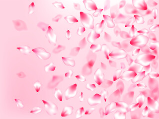 Spring tree flowers parts, airy flying petals