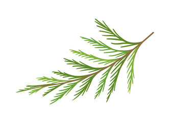 Pine branch concept. Part of Christmas tree. Forest and wildlife, flora. Nature and ecosystem, floristry. Poster or banner. Cartoon flat vector illustration isolated on white background