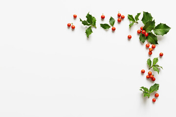 Holly leaves with red berries on white background.